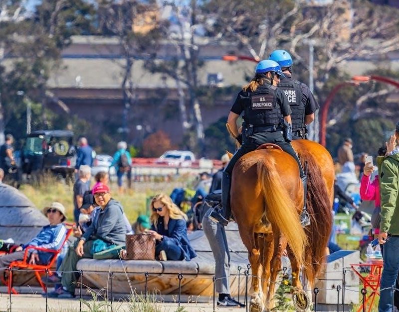 polaris ranger 570 service manual pdf