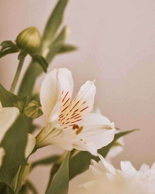 ecowater water softener manual