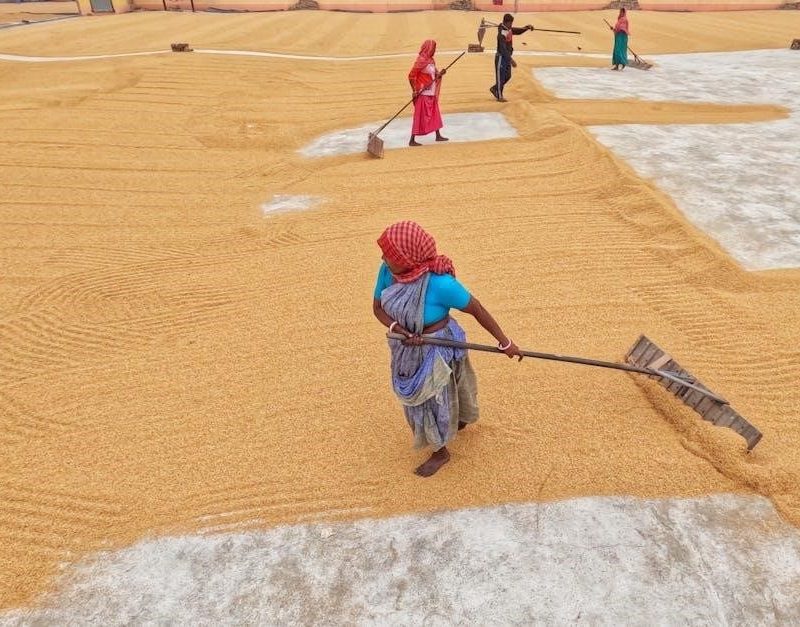 black and decker rice maker manual