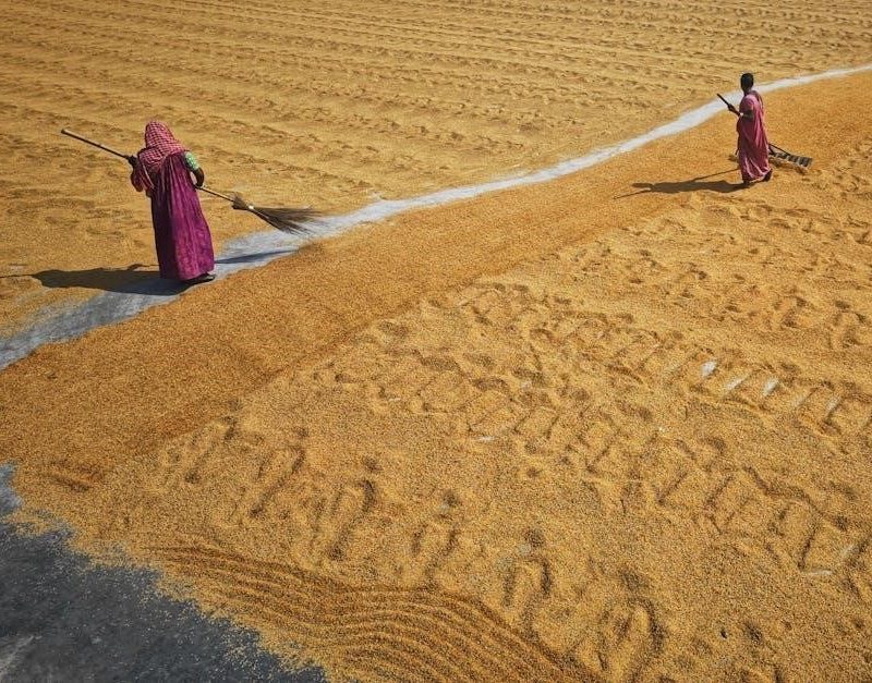 breville the rice box manual