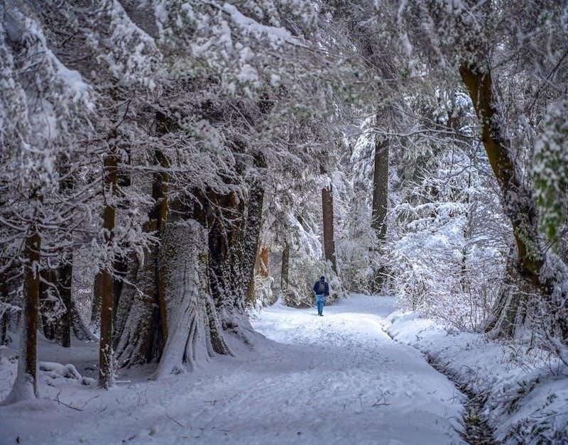 stanley burroughs master cleanse pdf