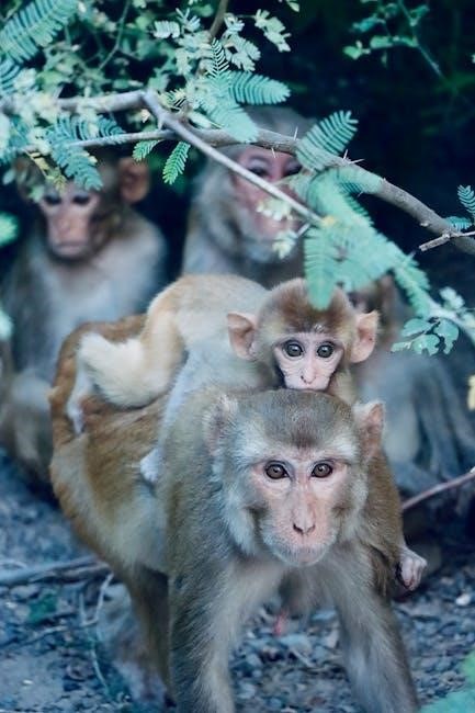 the monkey’s paw story pdf