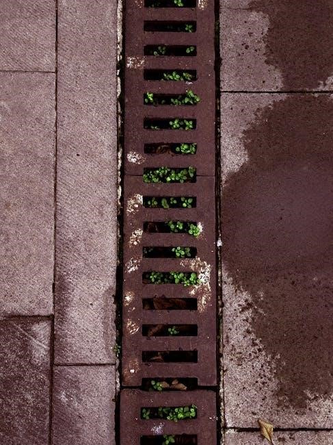 contraindications for manual lymph drainage