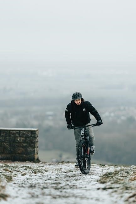 schwinn 170 exercise bike manual