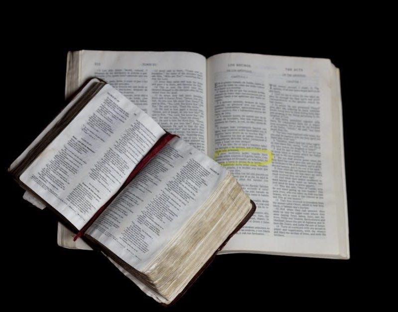 catholic bible study guide pdf